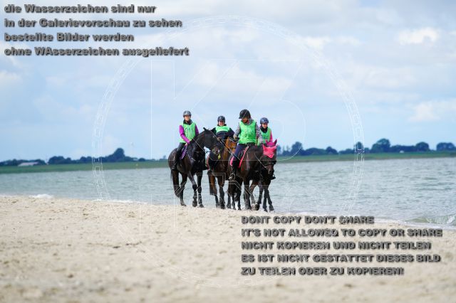 s_K3F05138.JPG